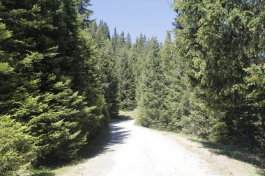İtalya Alp dağlarında kırsal yol