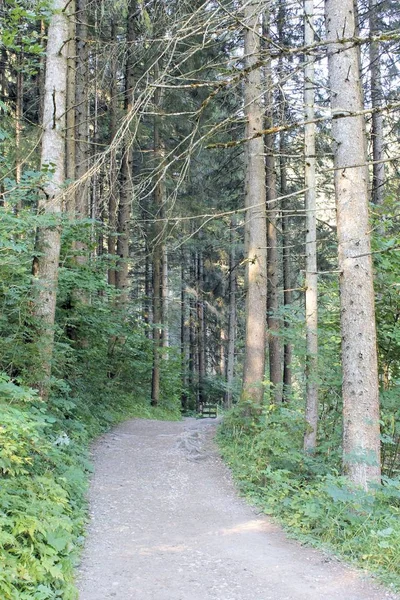 Landstraße in den Alpen in Italien — Stockfoto