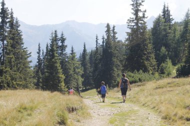 insanlar dağlarda bir yolda yürümek