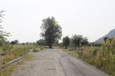 İtalya kırsal yol ile manzara