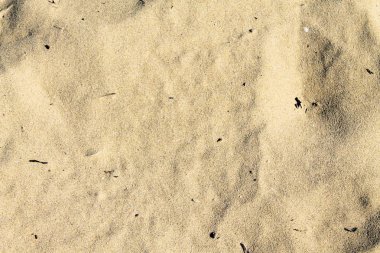 üzerinde kum plaj arka plan olarak