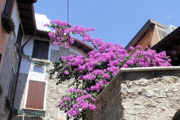 Cecina, piccolo borgo medievale sul lago di Garda nel nord Italia — Foto Stock