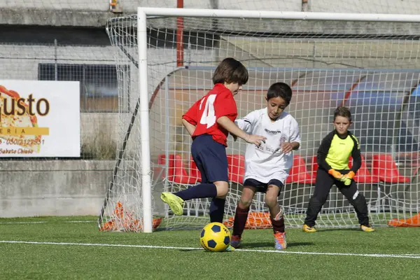 布雷西亚，意大利-2017 年 10 月 7 日： 孩子们玩在冠军的年轻足球运动员 — 图库照片