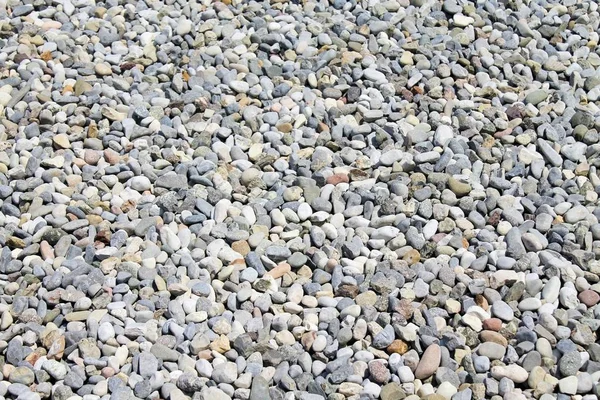 Small stones background or texture — Stock Photo, Image