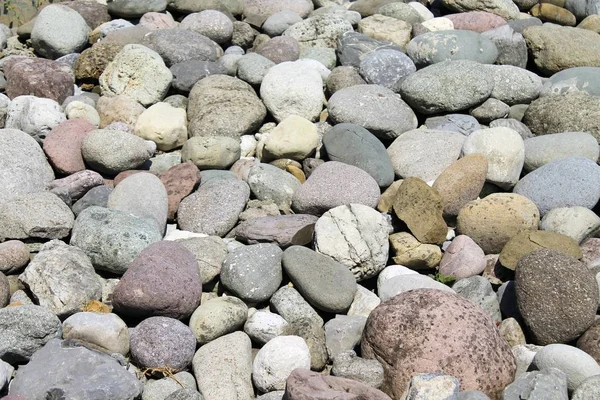 Small stones background or texture — Stock Photo, Image