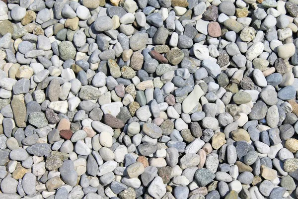 Small stones background or texture — Stock Photo, Image