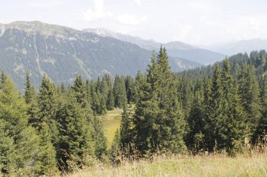 Alp Dağları Kuzey İtalya'daki görünümünü