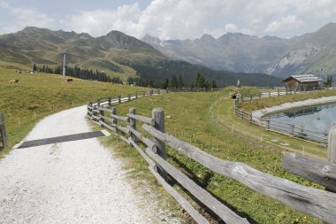 Dağlardaki kırsal yol