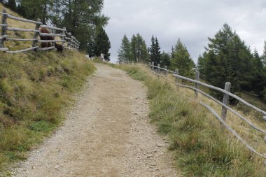 Dağlardaki kırsal yol