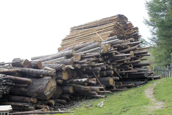 Podłoże Drewniane Lub Tekstury Bliska — Zdjęcie stockowe