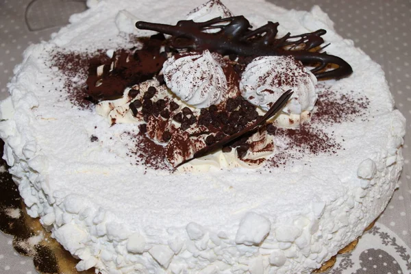 Baiser Kuchen Mit Schokocreme Und Gesundem Essen — Stockfoto