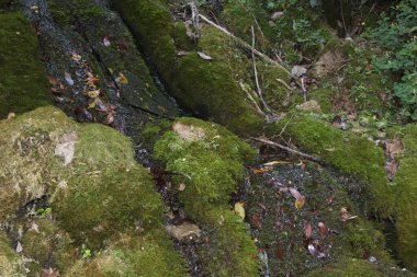 İtalya 'daki dağlarda küçük bir dere.