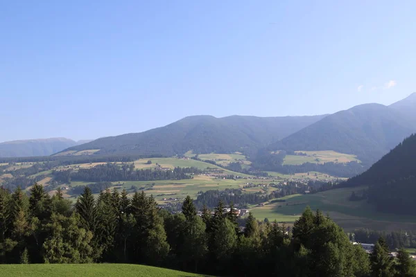 Las Lecie Sosnami Bukami Jodłami Bolzen Trentino Alto Adige Włochy — Zdjęcie stockowe