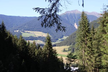 Kuzey İtalya 'da yeşil tepeli manzara