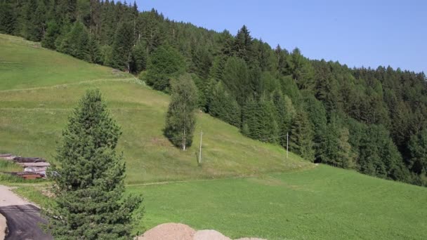 Peisaj Pitoresc Natural Însorit Pajiști Alpine Verzi — Videoclip de stoc
