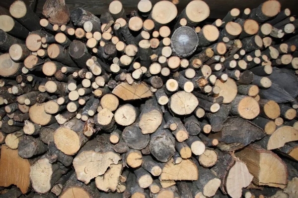 Hromada Palivového Dřeva — Stock fotografie