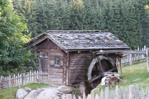 Ancient water mill on the Alps in Italy
