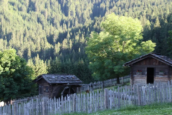 Oude Watermolen Alpen Italië — Stockfoto