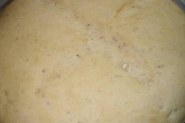 Büyük bir kasede hamur mayası, hamur iyi yükseldi..