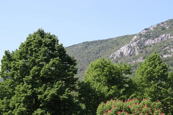 Krajobraz Naturalny Drzewami Górami Włoszech — Zdjęcie stockowe