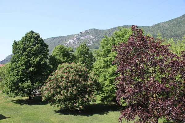 이탈리아에 나무와 산들로 이루어진 — 스톡 사진