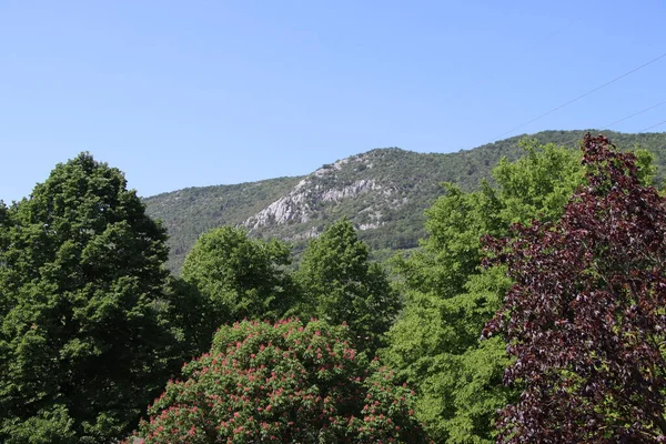 Paisaje Natural Con Árboles Montañas Italia — Foto de Stock