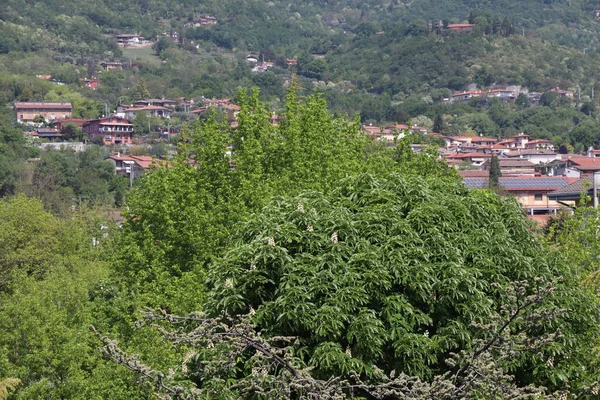 Wieś Zielonych Górach Północnych Włoszech — Zdjęcie stockowe