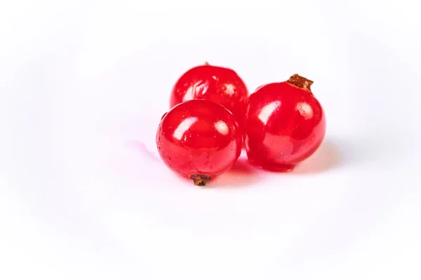 Свіжі вимиті ягоди червоної смородини — стокове фото