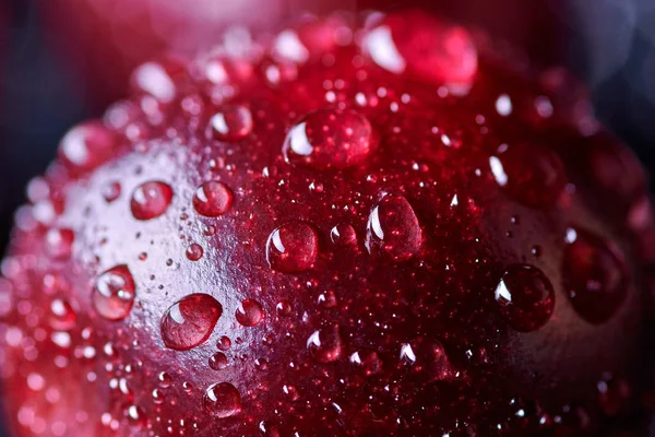 Świeże jagody wiśniowe z kroplami wody na tle — Zdjęcie stockowe