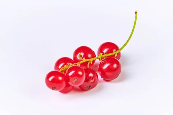 Fresh washed berries of red currant on the background — Stock Photo, Image