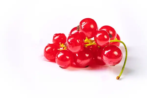 Taze yıkanmış kırmızı curran meyveleri.