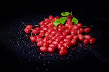 Taze yıkanmış kırmızı curran meyveleri.
