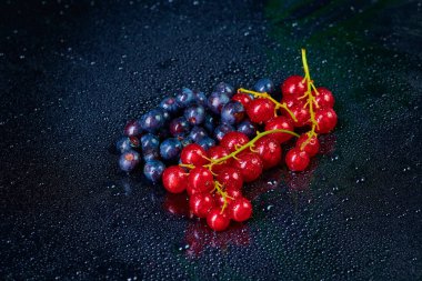 Arka planda su damlaları olan taze yıkanmış yabanmersini.