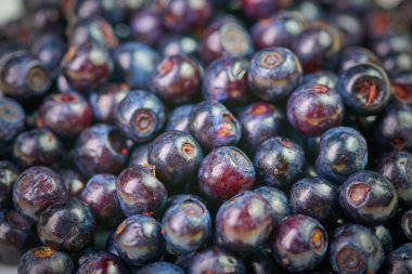 Masada taze yıkanmış yabanmersini var. 