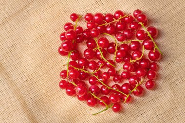 Arka planda taze yıkanmış frenk üzümü.