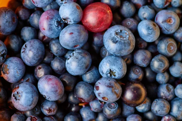 Masada taze yıkanmış yabanmersini var. 
