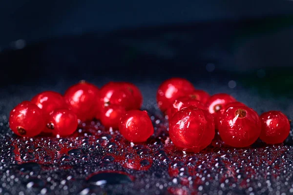 Bagas lavadas frescas de groselha vermelha — Fotografia de Stock
