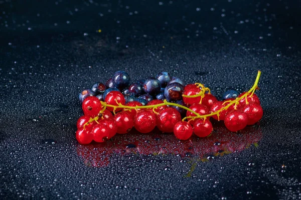Arka planda su damlaları olan taze yıkanmış yabanmersini.