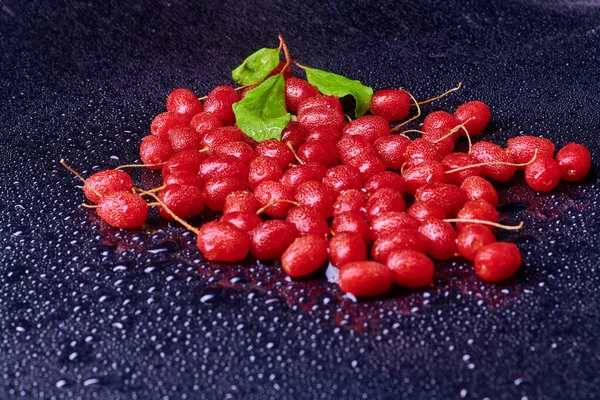 Fresh washed berries of red curran