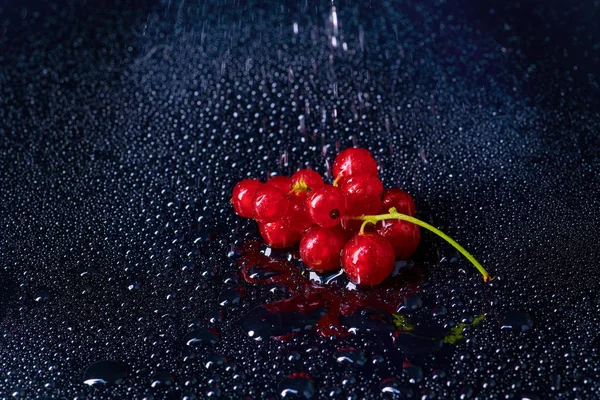 Taze yıkanmış kırmızı curran meyveleri.