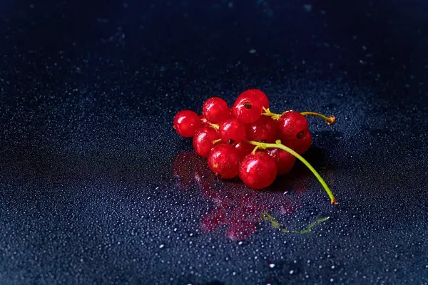 Vörös ribiszke frissen mosott bogyói — Stock Fotó