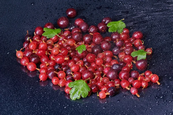 Fresh washed berries gooseberries and cherries with drops of wat — Stock Photo, Image