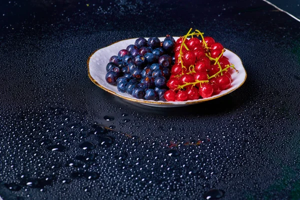 Bleuets frais lavés avec des gouttes d'eau sur un fond — Photo