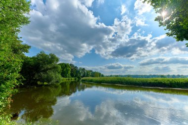 Huzurlu kırsal yaz Avrupa manzarası Yeşil ağaçlar ve va
