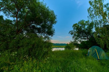 Huzurlu kırsal yaz Avrupa manzarası Yeşil ağaçlar ve va