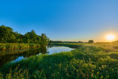 Huzurlu kırsal yaz Avrupa manzarası Yeşil ağaçlar ve va