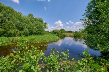 Huzurlu kırsal yaz Avrupa manzarası Yeşil ağaçlar ve va