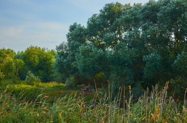 Huzurlu kırsal yaz Avrupa manzarası Yeşil ağaçlar ve va