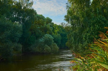 Huzurlu kırsal yaz Avrupa manzarası Yeşil ağaçlar ve va
