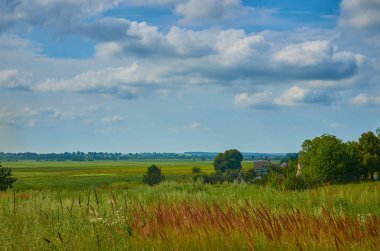 Huzurlu kırsal yaz Avrupa manzarası Yeşil ağaçlar ve va